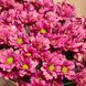 Букет із 9 рожевих кущових хризантем 7223 фото 3