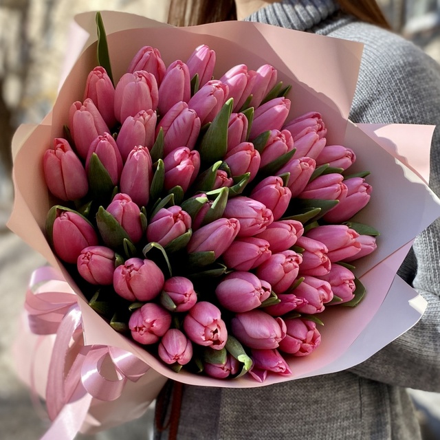 51 рожевий тюльпан 007 фото