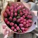 51 рожевий тюльпан 007 фото 1