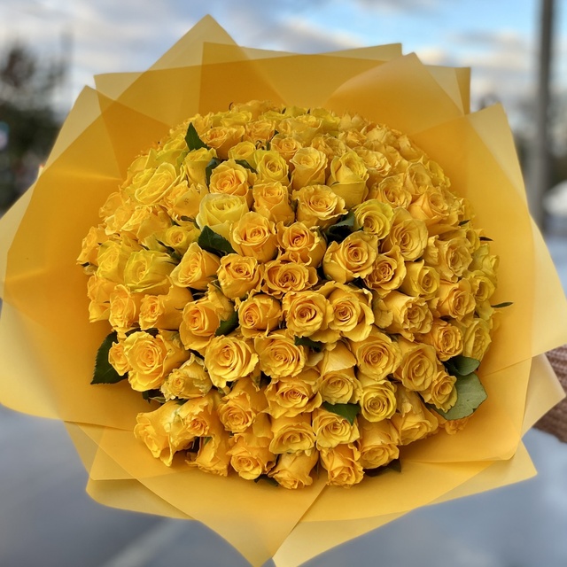 101 жовта троянда 705 фото