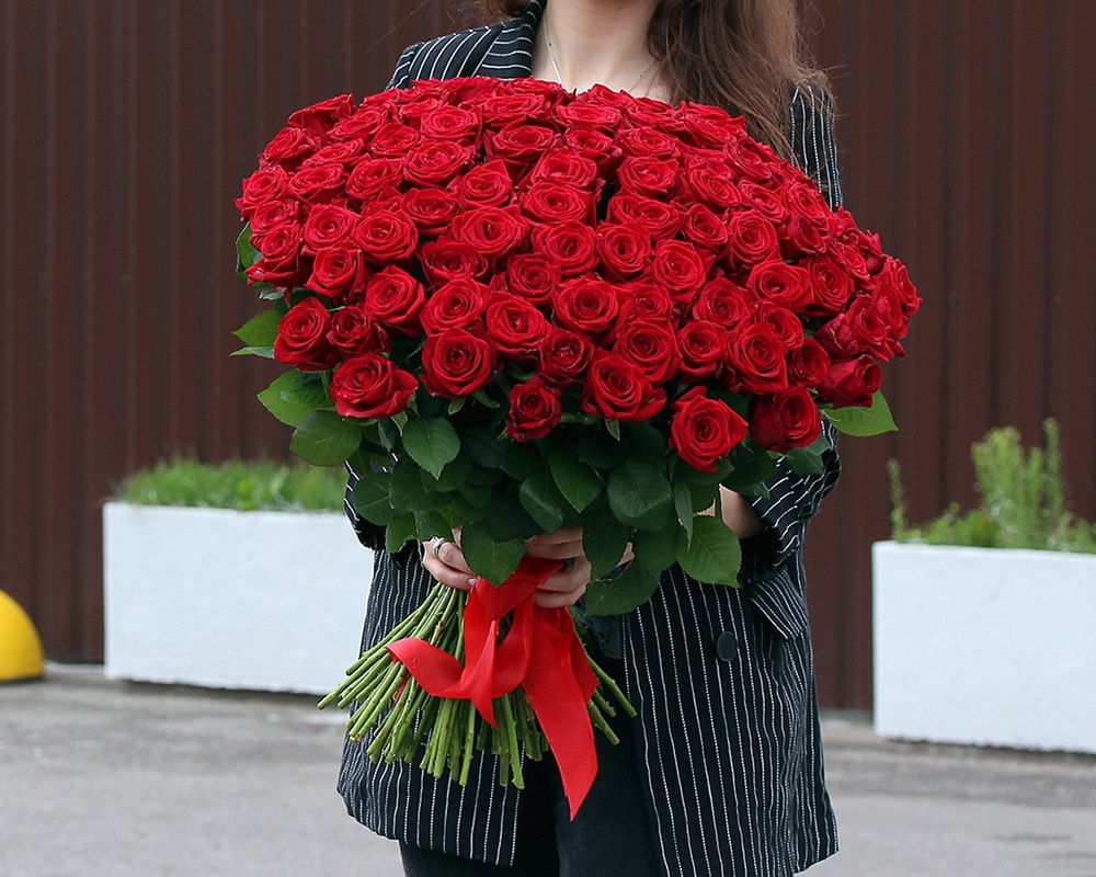 101 червона троянда 4557 фото