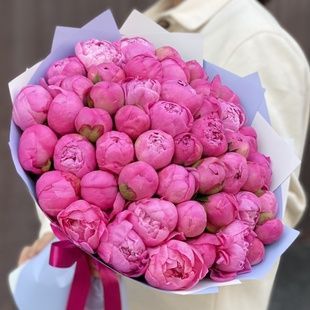 51 рожева півонія 0086745 фото