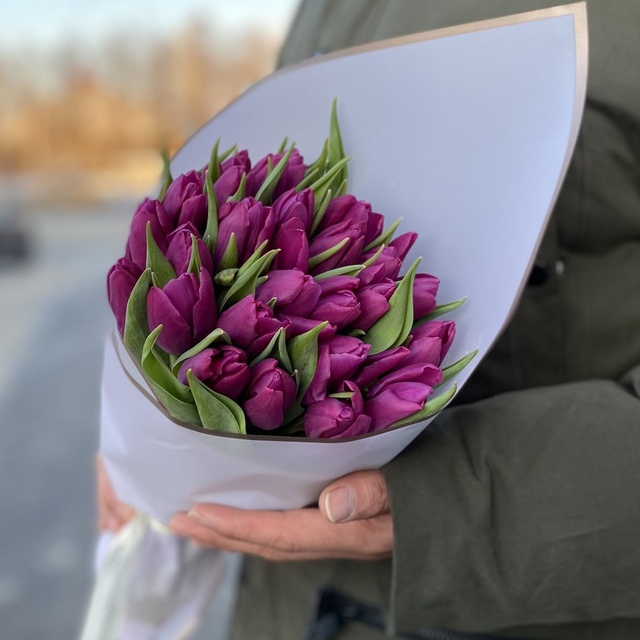 25 фіолетових тюльпанів 9980 фото
