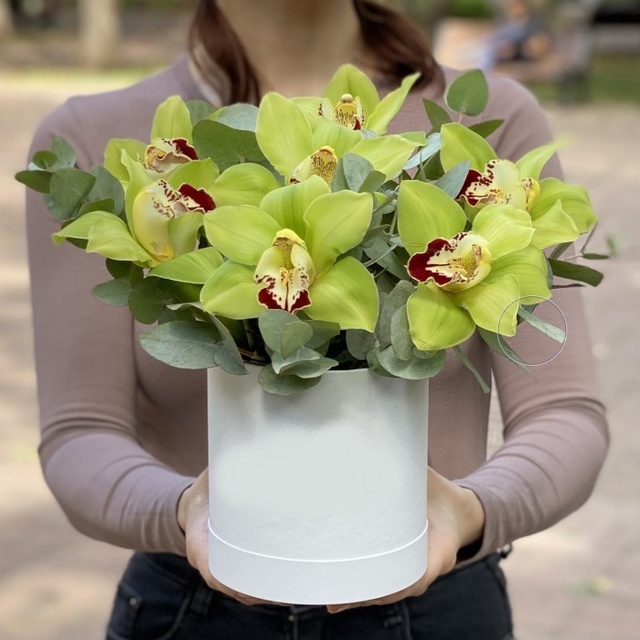 Зелені орхідеї коробці 09091 фото