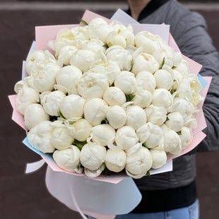 51 біла півонія 06234 фото