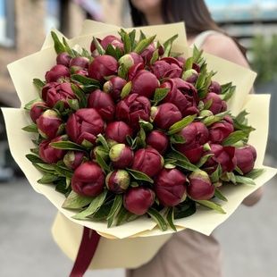 51 рожева півонія 0023423 фото